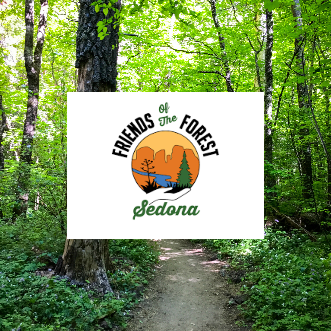 Friends of the Forest
